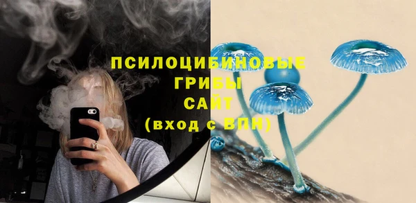 прущая мука Карталы