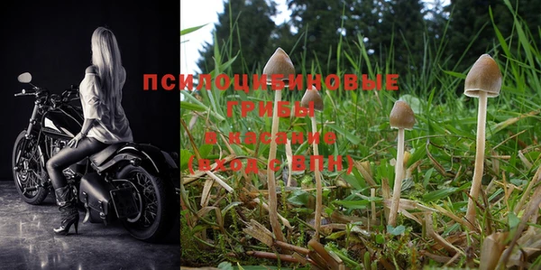 PSILOCYBIN Касимов