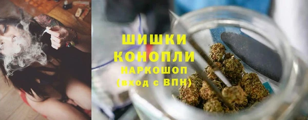 ПСИЛОЦИБИНОВЫЕ ГРИБЫ Киреевск