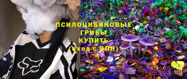 PSILOCYBIN Касимов